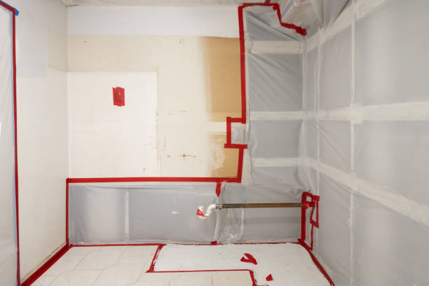 Mold Documentation for Insurance Claims in West Valley City, UT